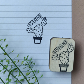 Stempel cactus - uitstekend!