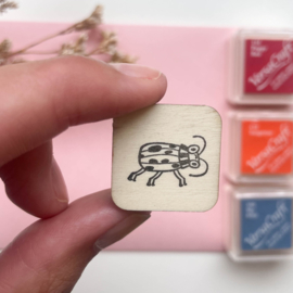 Stempel insect - kever
