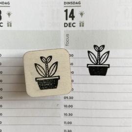 Stempel mini - plant