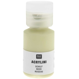 Acrylini verf - riet