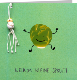 Kleine spruit