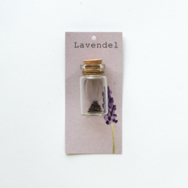 Lavendel