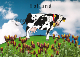 Holland koe-ansichtkaart 