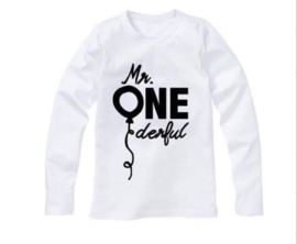 Verjaardagsshirt Mr. One derful ballon