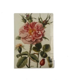 Geurzakje Botanische roos (english rose) 17x11,5cm