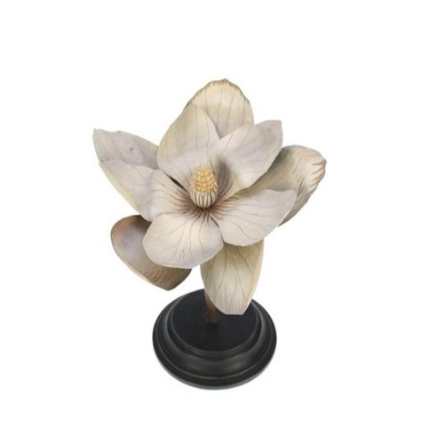 Botanische Bloem Magnolia, creme 23x20x24cm