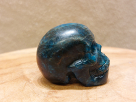 Apatiet human skull