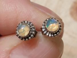 Ethiopisch of welo opaal oorbellen in zilver