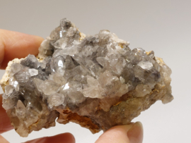 Hondentand calciet uit Marokko