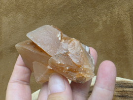 Mariposa calciet uit Mexico