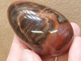 Versteend hout handsteen
