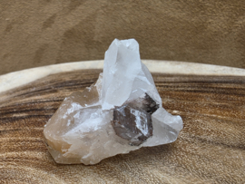 Mariposa calciet uit Mexico