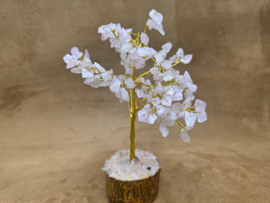Rozenkwarts edelsteenboom