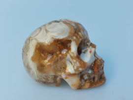 Chocolade calciet/aragoniet human skull