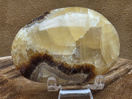 Septarie handsteen