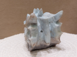Blue carribean calciet draak
