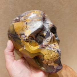 Mookaiet human skull