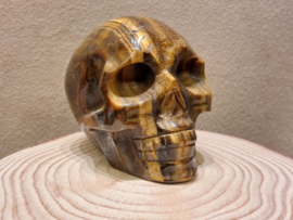 Tijgeroog human skull