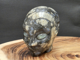 Que sera of vulkaniet elfen being met labradoriet ogen