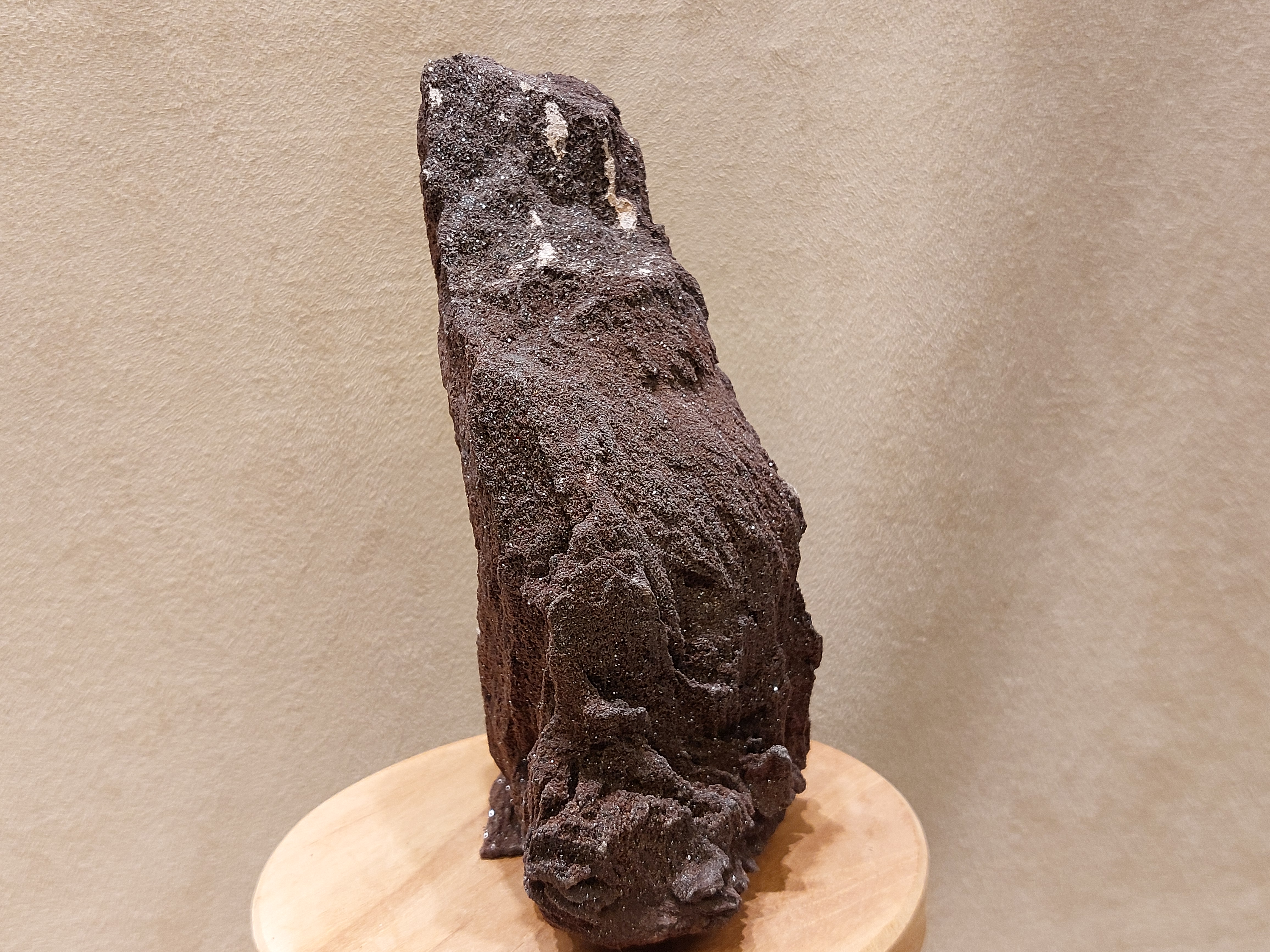 Versteend hout van de sequoia boom of mammoetboom, Duitsland
