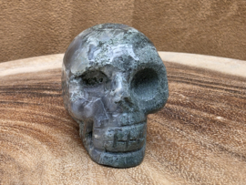 Mosagaat human skull