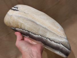 Zebra calciet schaal