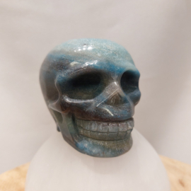 Blauwe paraiba kwarts human skull