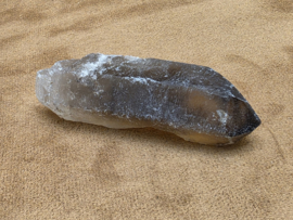 Rookkwarts punt lemurisch uit Brazilië