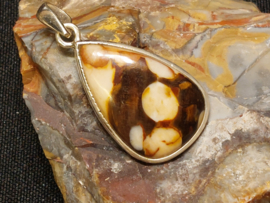 Versteend pinda hout hanger in zilver