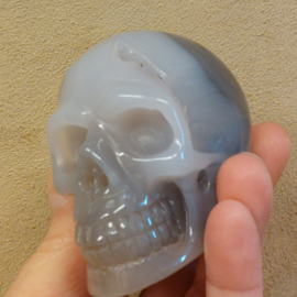 Agaat human skull