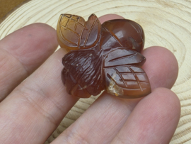 Blauwe amber bij