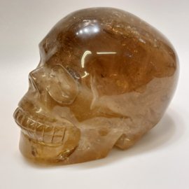 Rookkwarts human skull