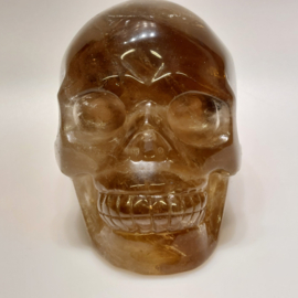 Rookkwarts human skull