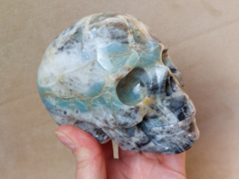 Blue carribean calciet human skull