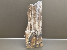 Versteend hout uit Indonesië