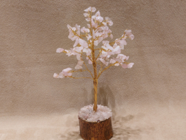 Rozenkwarts edelsteenboom klein