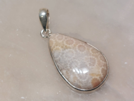 Fossiel koraal hanger in zilver