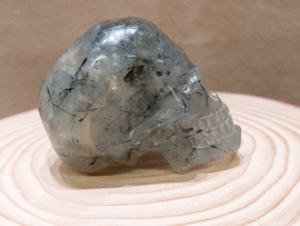 Prehniet human skull