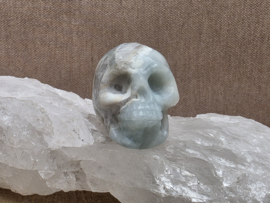 Blue carribean calciet human skull