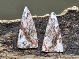 Luipaard jaspis cabochons set van 2