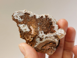 Calciet met hematiet cluster uit Mexico