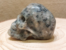 Kiwi jaspis human skull