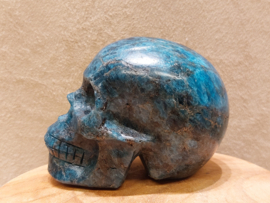 Apatiet human skull