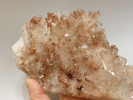 Maria magdalena cluster