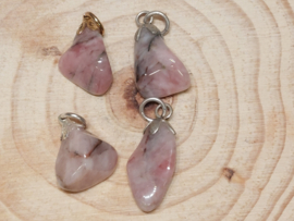 Aardbeienkwarts hanger