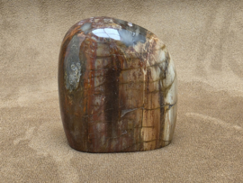 Versteend hout sculptuur