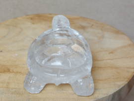 Bergkristal schildpad