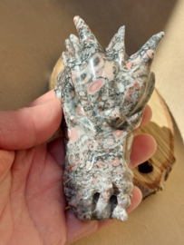 Crinoid fossiel draak