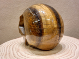Tijgeroog human skull