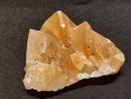 Mariposa calciet uit Mexico